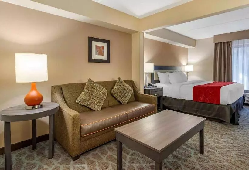 身障者適用キングサイズベッドルーム, Comfort Suites Alpharetta Roswell   Atlanta Area