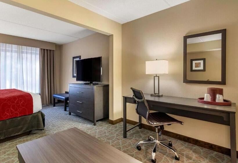 身障者適用キングサイズベッドルーム, Comfort Suites Alpharetta Roswell   Atlanta Area