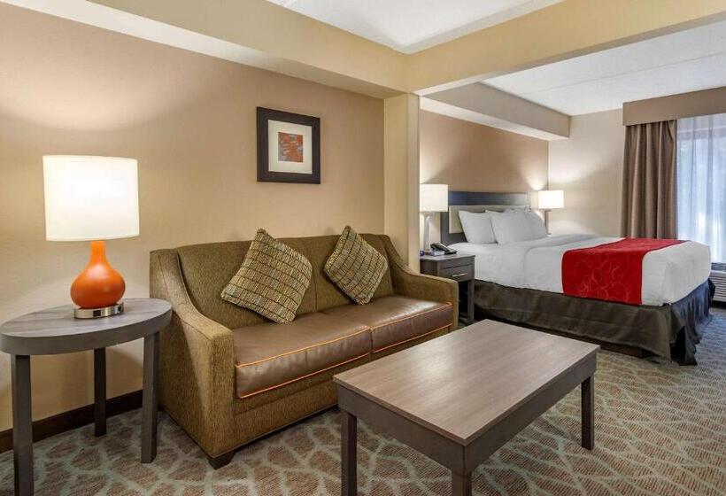 キングサイズベッドのスタンダードルーム, Comfort Suites Alpharetta Roswell   Atlanta Area