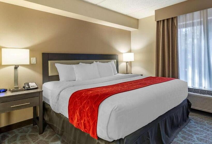 Quarto Estandar Cama King, Comfort Suites Alpharetta Roswell   Atlanta Area