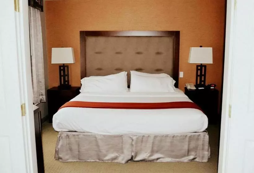 سوئیت اجرایی با تخت کینگ, Holiday Inn Express & Suites Bozeman West, An Ihg