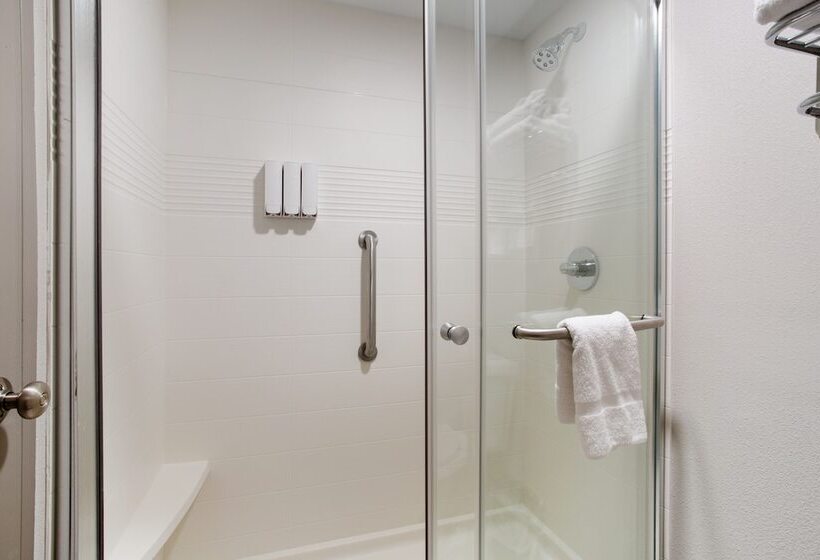 חדר סטנדרט מיטה זוגית, Orangewood Inn & Suites Kansas City Airport