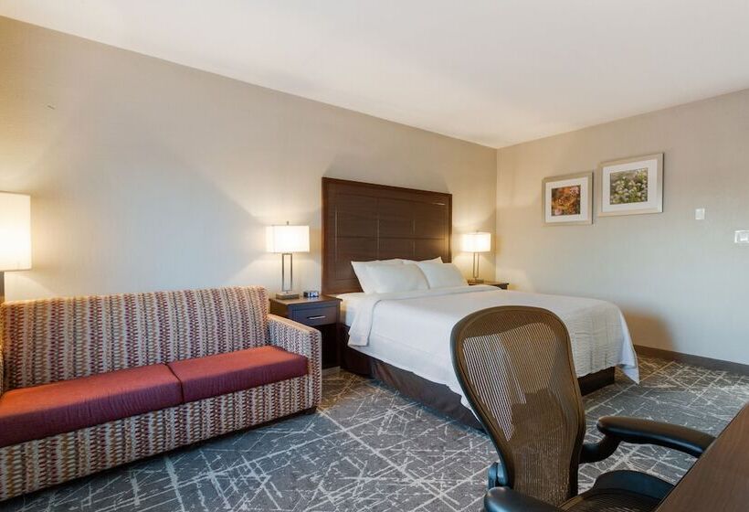 חדר סטנדרט מיטה זוגית, Orangewood Inn & Suites Kansas City Airport