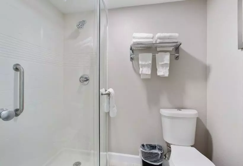 اتاق استاندارد با 2 تخت دوبل, Orangewood Inn & Suites Kansas City Airport