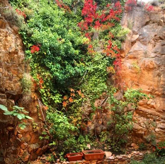 スタンダードルーム, Santa Maria De Alquezar
