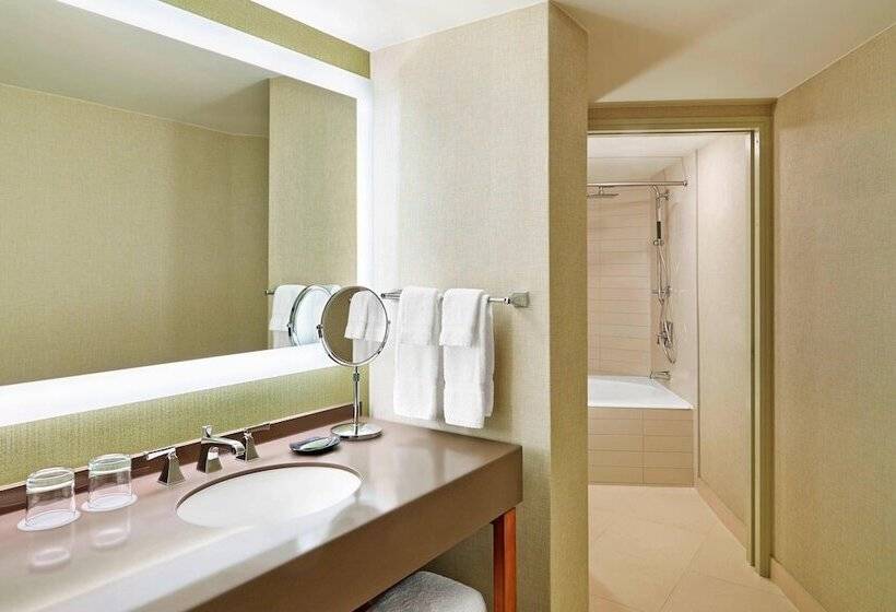 带2个双人床的标准工作室, The Westin San Diego Bayview