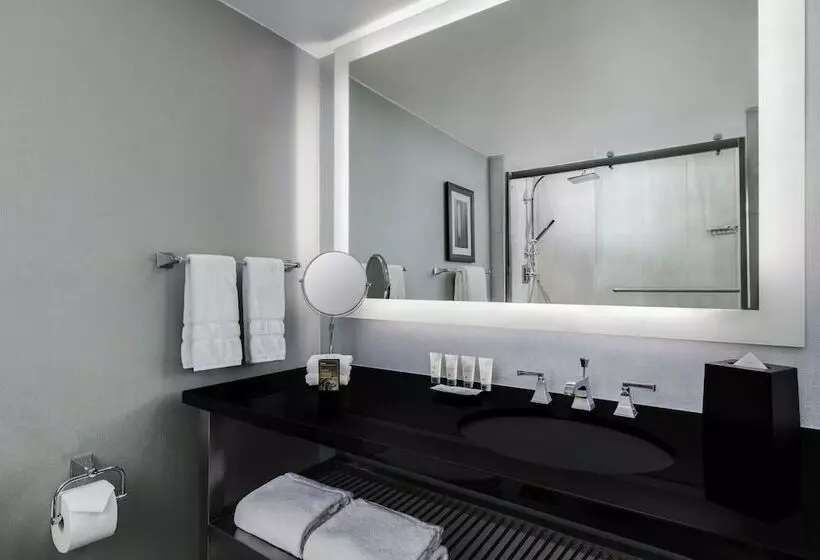 اتاق استاندارد با 2 تخت دوبل, The Westin Washington, D.c. City Center