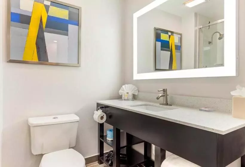 اتاق استاندارد با تخت بزرگ, Comfort Inn & Suites Irving Las Colinas Dfw