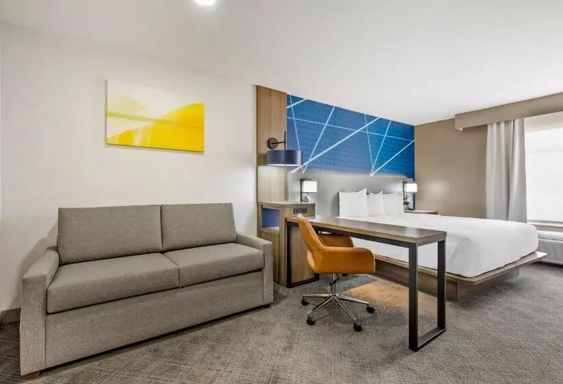 اتاق استاندارد با تخت بزرگ, Comfort Inn & Suites Irving Las Colinas Dfw