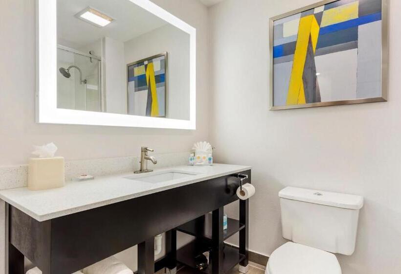 Quarto Quádruplo Estandar, Comfort Inn & Suites Irving Las Colinas Dfw