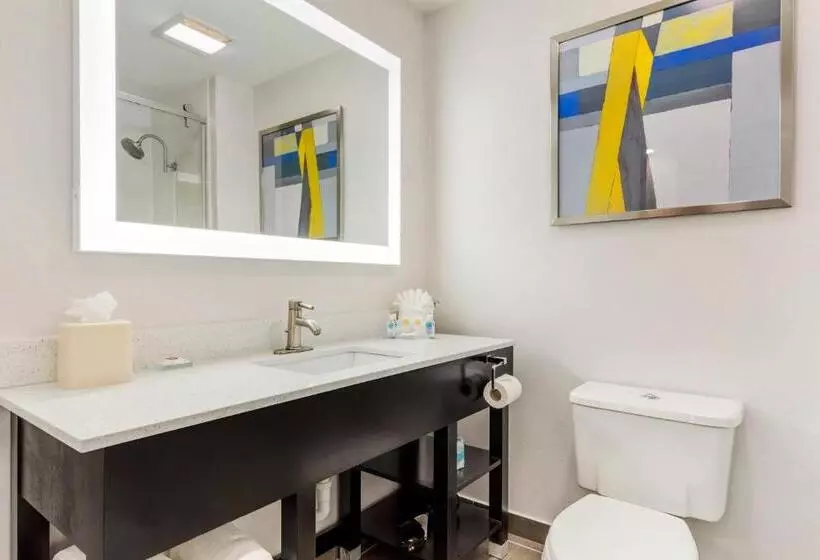 اتاق استاندارد چهار تخته, Comfort Inn & Suites Irving Las Colinas Dfw