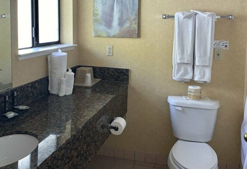 디럭스 룸, Yosemite View Lodge