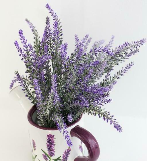 דירת חדר, Apartment Saulan