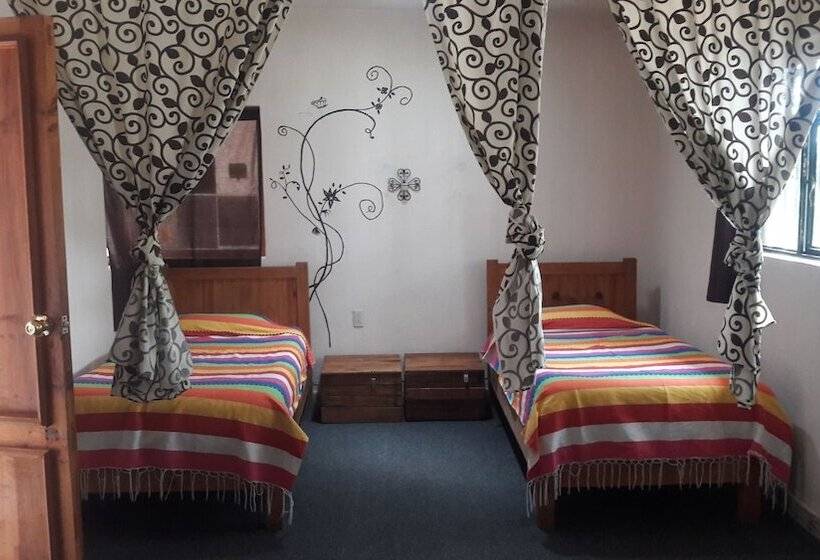 מיטה בחדר משותף, Hostal Mirador   Hostel
