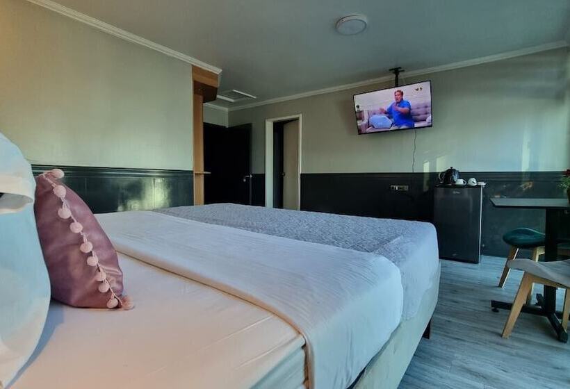 스탠다드 룸, Asturias