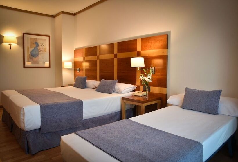 غرفة قياسية, Senator Parque Central