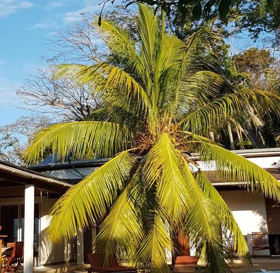 اتاق استاندارد با چشمانداز استخر, Villa Les Cocotiers