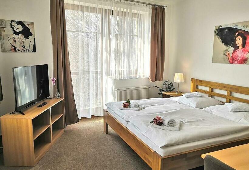 غرفة قياسية, U Brány