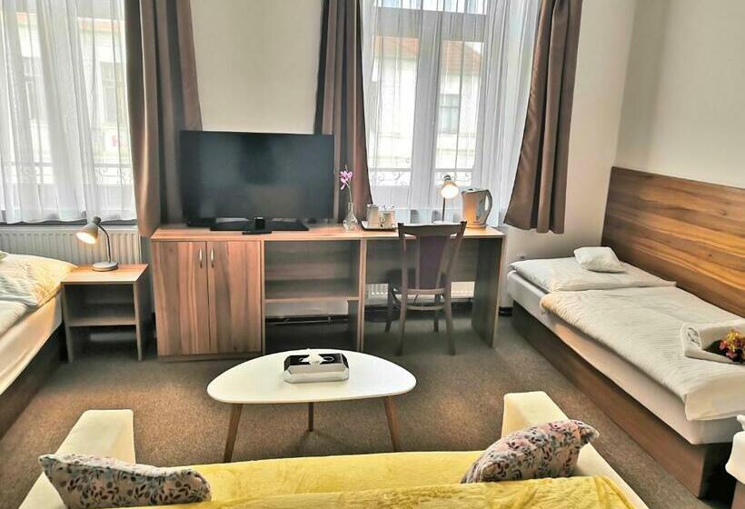 شقة غرفة واحدة, U Brány