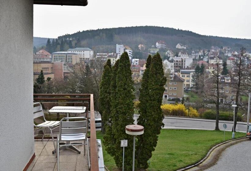 اتاق استاندارد با بالکن, Penzion Beta