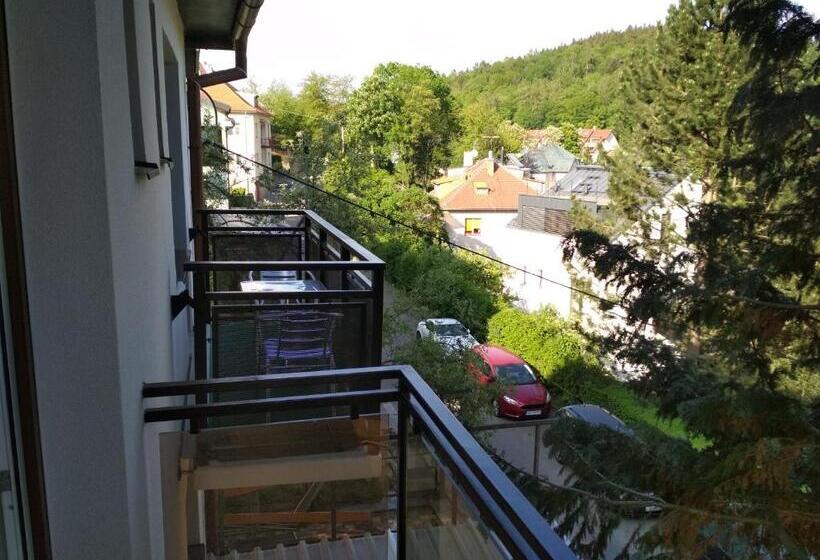 标准间带阳台, Penzion Beta