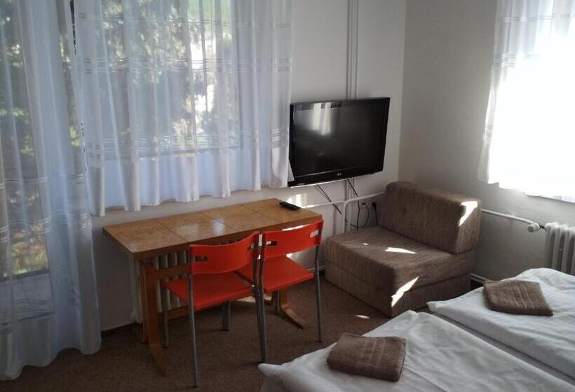 标准间带阳台, Penzion Beta