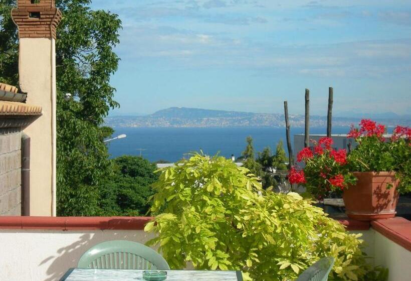 标准房带园景, Villa Maresca B&b