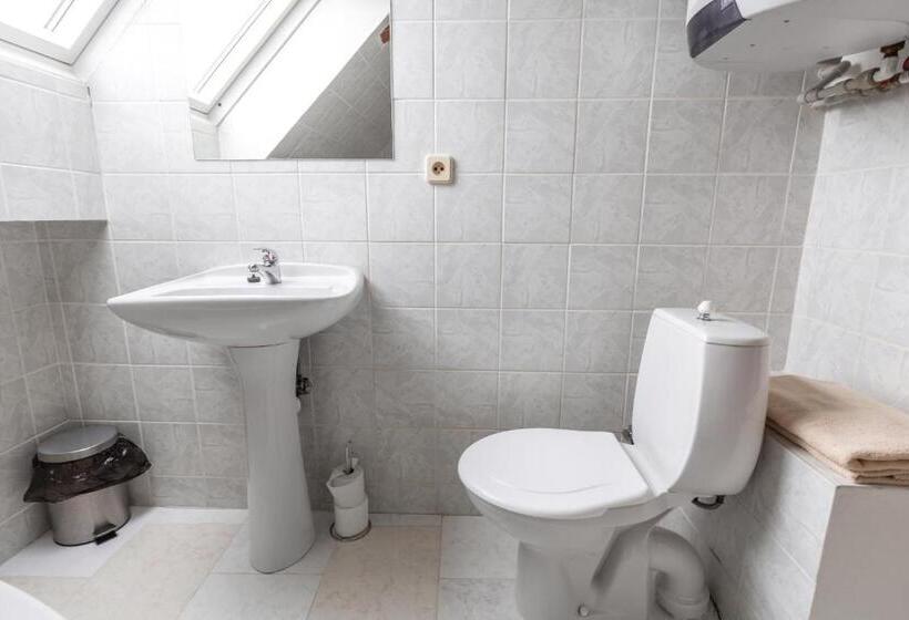 استودیوی استاندارد, Penzion Bedrč