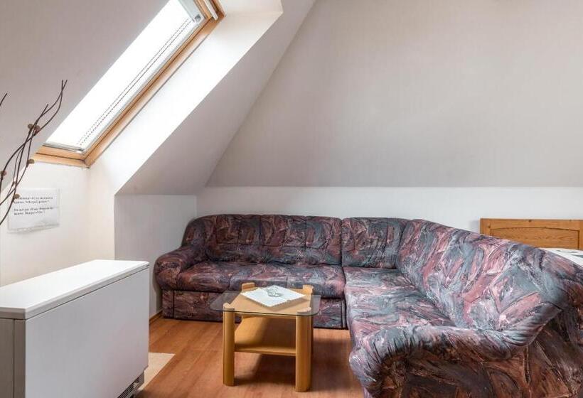 スタンダードスタジオ, Penzion Bedrč