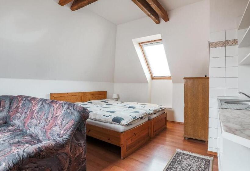 スタンダードスタジオ, Penzion Bedrč