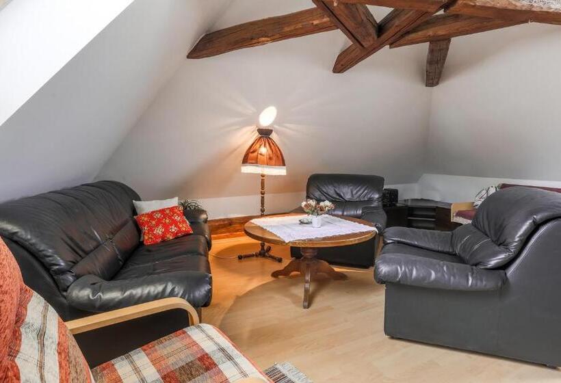 １ベッドルームアパートメント, Penzion Bedrč