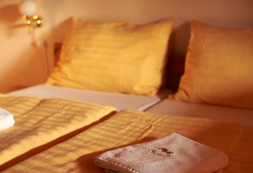 Номер Стандарт, Penzion U Strakatého Koně