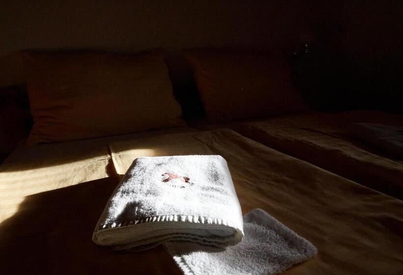 Номер Стандарт, Penzion U Strakatého Koně