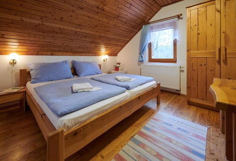 Номер Стандарт, Penzion U Strakatého Koně