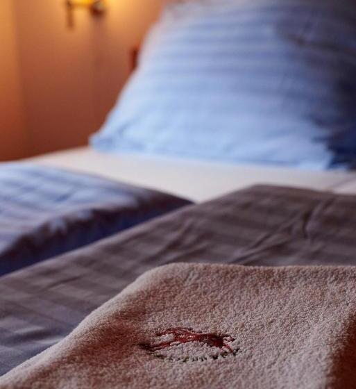 Четырехместный Номер Стандарт, Penzion U Strakatého Koně