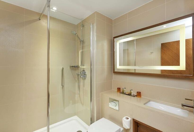 Номер Deluxe с Балконом, Doubletree By Hilton Hotel London   Hyde Park