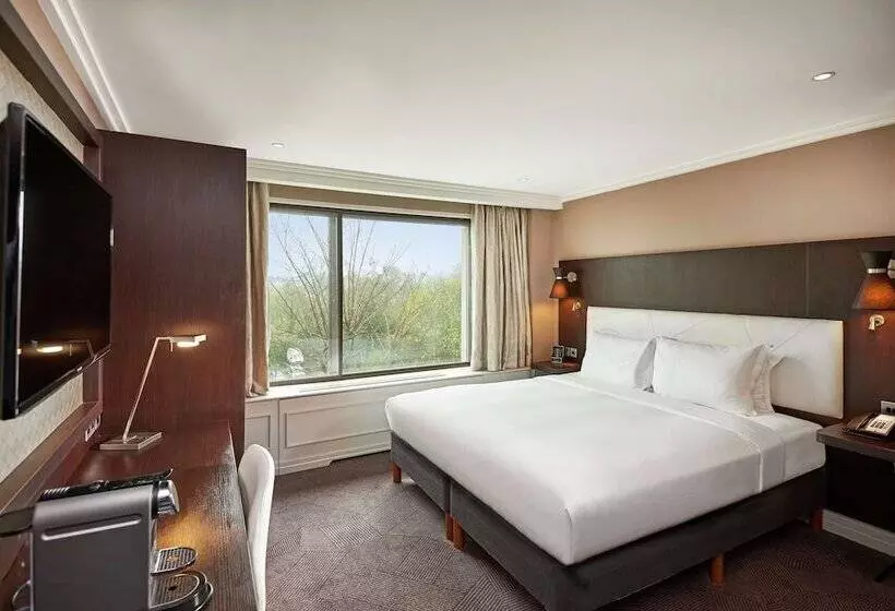 パークビューのデラックスルーム, Doubletree By Hilton Hotel London   Hyde Park