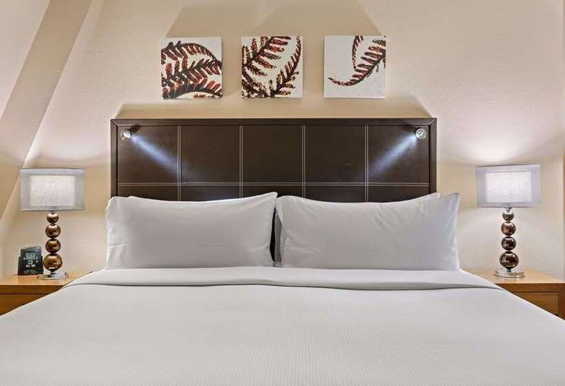 豪华房间, Hilton London Euston