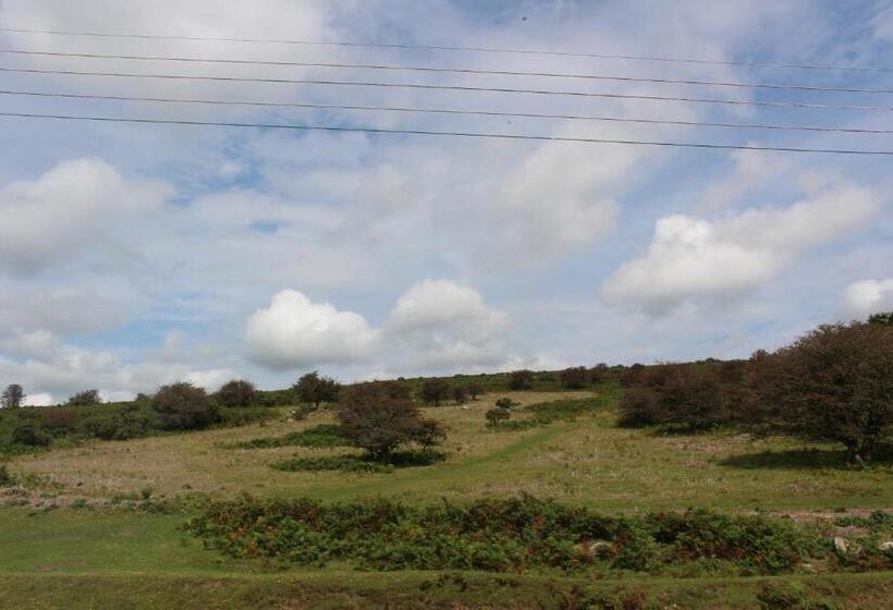 اتاق استاندارد, The Moorland