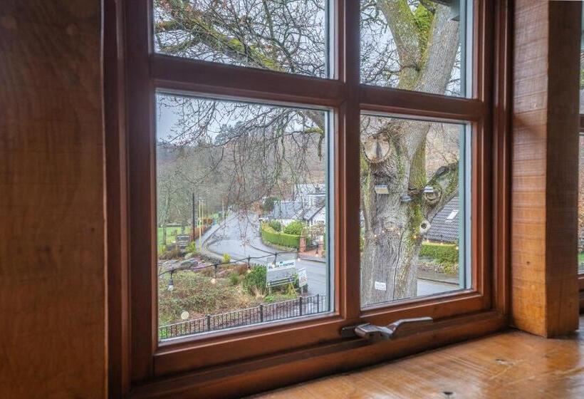 غرفة سوبيريور, Oak Tree Inn