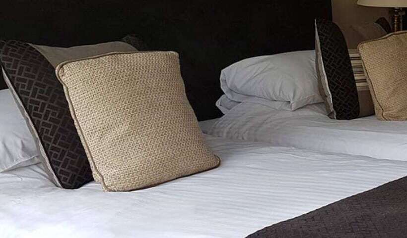 수피리어 룸, Stuart House