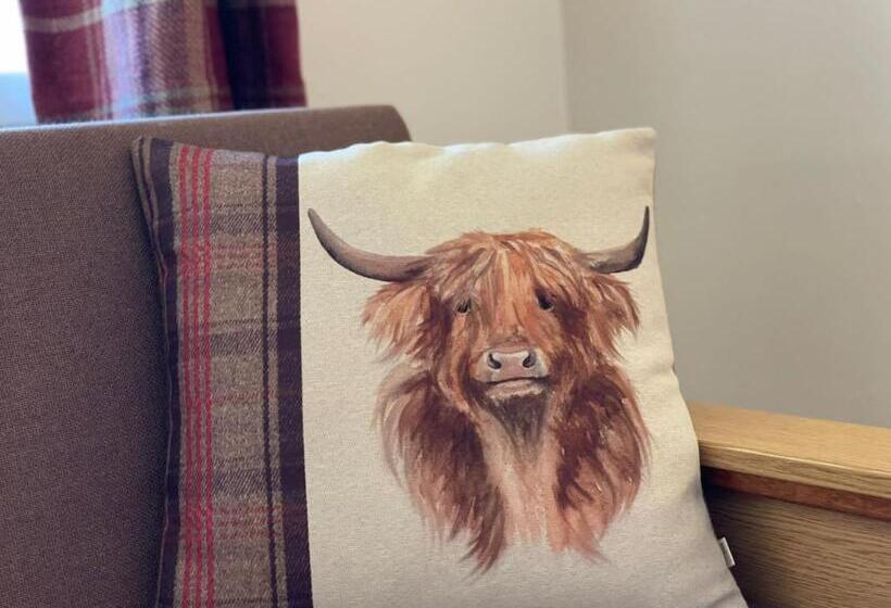 غرفة قياسية لذوى الاحتياجات الخاصة, The Mey