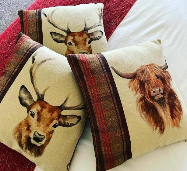 غرفة قياسية لذوى الاحتياجات الخاصة, The Mey