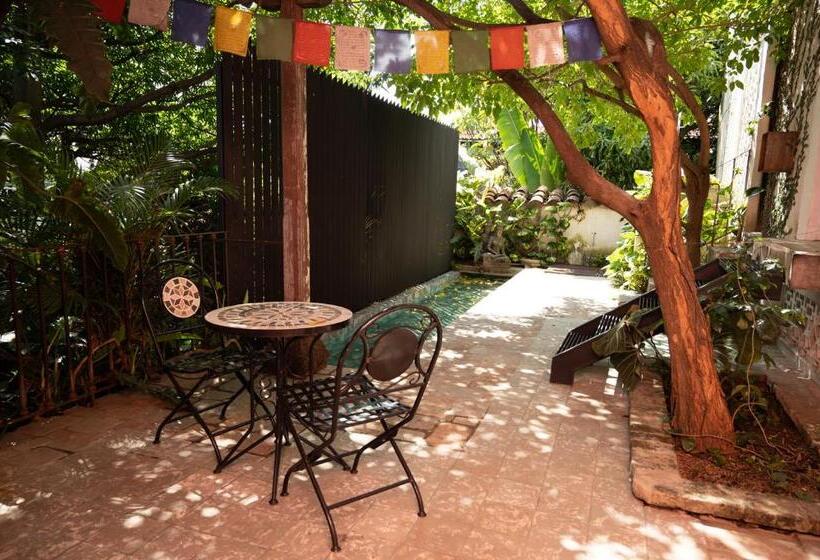 带大床的套房, Alko Hotel Casa Nispero