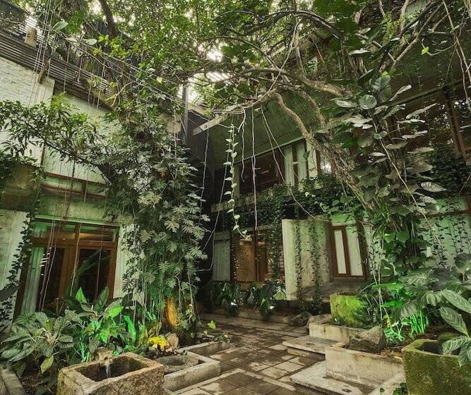 套房, Alko Hotel Casa Nispero