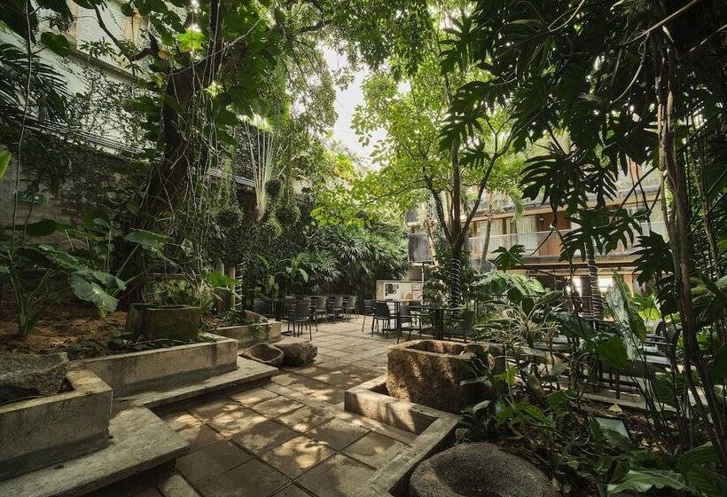 套房, Alko Hotel Casa Nispero