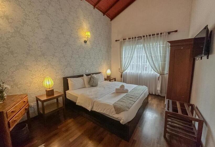 Deluxe Room, Grace
