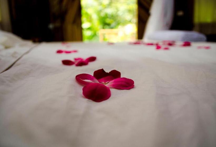 スタンダードバンガロー, Tayrona Paradise