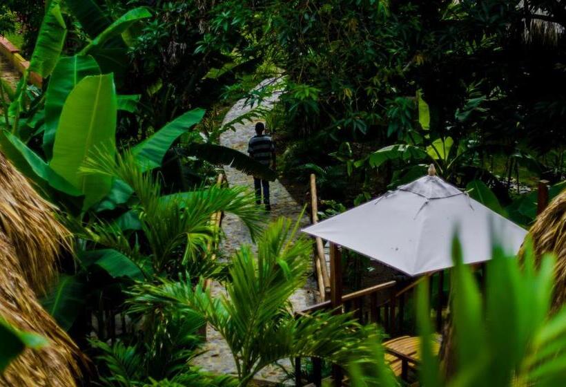 スタンダードバンガロー, Tayrona Paradise