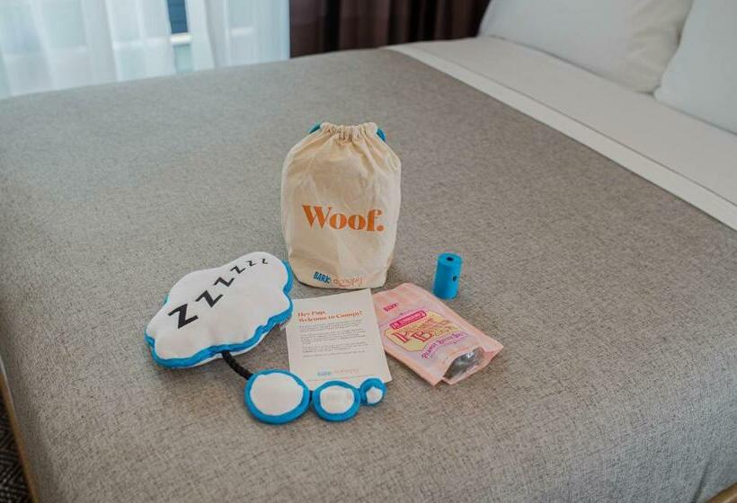 スタンダードルーム, Canopy By Hilton Jersey City Arts District